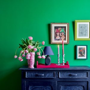 ANNIE SLOAN WALL PAINT - ZIDNA BOJA SCHINKEL GREEN