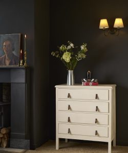 Canvas Chalk Paint Annie Sloan Chest of Drawers